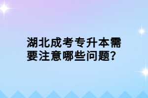 湖北成考專升本需要注意哪些問題？