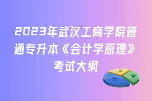 2023年武漢工商學(xué)院普通專升本《會計(jì)學(xué)原理》考試大綱