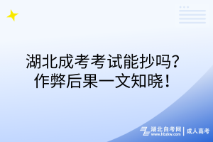 湖北成考考試能抄嗎？作弊后果一文知曉！