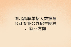 湖北高職單招大數(shù)據(jù)與會(huì)計(jì)專業(yè)公辦招生院校、就業(yè)方向