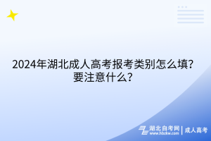 2024年湖北成人高考報(bào)考類別怎么填？要注意什么？