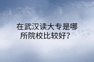 在武漢讀大專是哪所院校比較好？