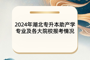 2024年湖北專升本助產(chǎn)學(xué)專業(yè)及院校報(bào)考情況