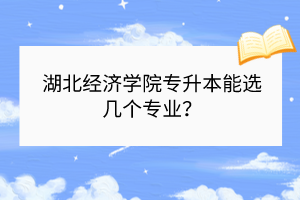 湖北經(jīng)濟學(xué)院專升本能選幾個專業(yè)？