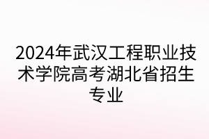 2024年武漢工程職業(yè)技術(shù)學(xué)院高考湖北省招生專(zhuān)業(yè)