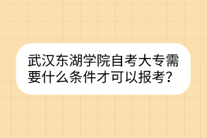 武漢東湖學(xué)院自考大專需要什么條件才可以報(bào)考？