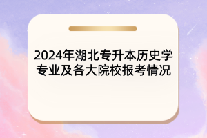 2024年湖北專升本歷史學(xué)專業(yè)及各大院校報(bào)考情況