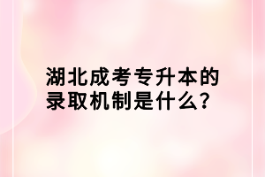 湖北成考專升本的錄取機(jī)制是什么？