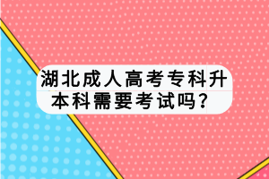 湖北成人高考?？粕究菩枰荚噯?？