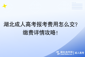 湖北成人高考報(bào)考費(fèi)用怎么交？繳費(fèi)詳情攻略！