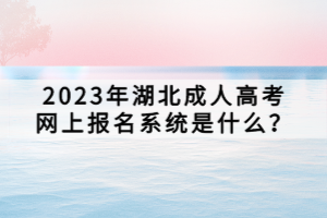 2023年湖北成人高考網(wǎng)上報名系統(tǒng)是什么？