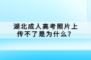 湖北成人高考照片上傳不了是為什么？