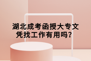 湖北成考函授大專文憑找工作有用嗎？