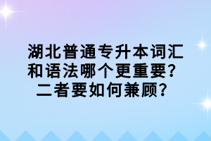 湖北普通專升本詞匯和語法哪個(gè)更重要？二者要如何兼顧？