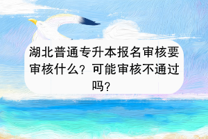 湖北普通專升本報名審核要審核什么？可能審核不通過嗎？