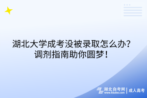 湖北大學(xué)成考沒被錄取怎么辦？調(diào)劑指南助你圓夢！