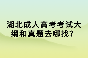 湖北成人高考考試大綱和真題去哪找？