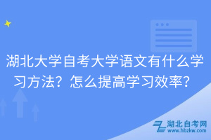 湖北大學(xué)自考大學(xué)語(yǔ)文有什么學(xué)習(xí)方法？怎么提高學(xué)習(xí)效率？