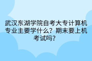 武漢東湖學(xué)院自考大專計(jì)算機(jī)專業(yè)主要學(xué)什么？期末要上機(jī)考試嗎？