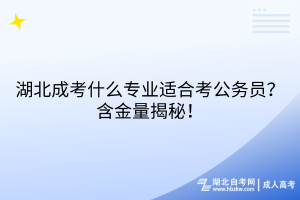 湖北成考什么專業(yè)適合考公務(wù)員？含金量揭秘！