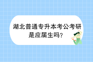 ?湖北普通專升本考公考研是應(yīng)屆生嗎？