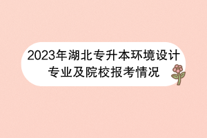 2023年湖北專升本環(huán)境設計專業(yè)及院校報考情況