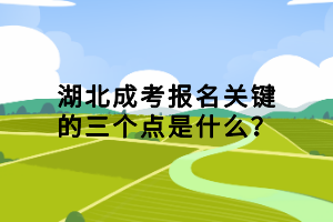 湖北成考報(bào)名關(guān)鍵的三個(gè)點(diǎn)是什么？