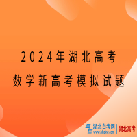 2024年湖北高考數(shù)學新高考模擬試題