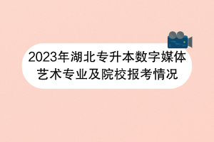 2023年湖北專升本數(shù)字媒體藝術專業(yè)及院校報考情況