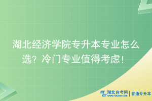 湖北經(jīng)濟(jì)學(xué)院專升本專業(yè)怎么選？冷門專業(yè)值得考慮！