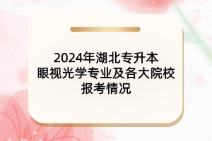 2024年湖北專升本眼視光學(xué)專業(yè)及院校報(bào)考情況