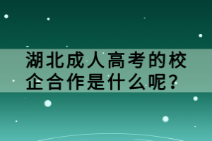 湖北成人高考的校企合作是什么呢？