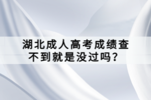 湖北成人高考成績(jī)查不到就是沒(méi)過(guò)嗎？