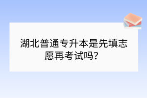 湖北普通專升本是先填志愿再考試嗎？