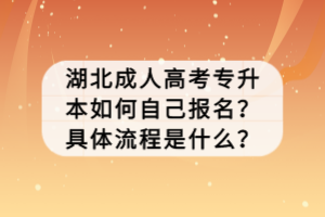 湖北成人高考專升本如何自己報(bào)名？具體流程是什么？