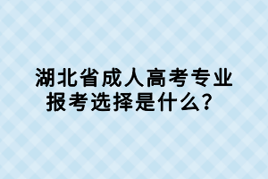 湖北省成人高考專業(yè)報(bào)考選擇是什么？