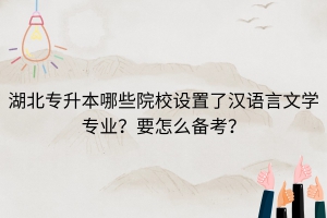 湖北專升本哪些院校設(shè)置了漢語言文學(xué)專業(yè)？要怎么備考？