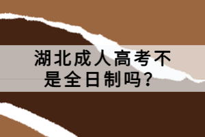 湖北成人高考不是全日制嗎？