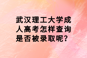 武漢理工大學(xué)成人高考怎樣查詢是否被錄取呢？