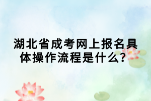 湖北省成考網(wǎng)上報(bào)名具體操作流程是什么？