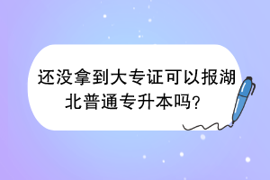 還沒拿到大專證可以報(bào)湖北普通專升本嗎？