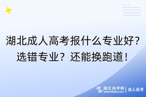 湖北成人高考報什么專業(yè)好？選錯專業(yè)？還能換跑道！