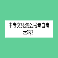 中專文憑怎么報考自考本科？