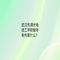 武漢東湖光電技工學校報考條件是什么？