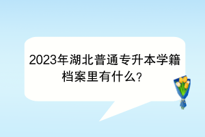 2023年湖北普通專升本學(xué)籍檔案里有什么？