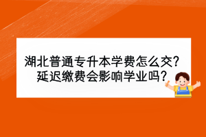 湖北普通專升本學(xué)費(fèi)怎么交？延遲繳費(fèi)會(huì)影響學(xué)業(yè)嗎？