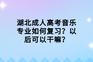 湖北成人高考音樂專業(yè)如何復習？以后可以干嘛？
