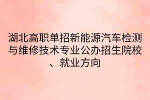 湖北高職單招新能源汽車檢測與維修技術(shù)專業(yè)公辦招生院校、就業(yè)方向