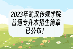 2023年武漢傳媒學院普通專升本招生簡章已公布！