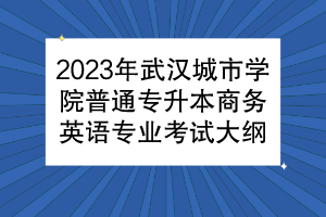 2023年武漢城市學(xué)院普通專升本商務(wù)英語(yǔ)專業(yè)考試大綱
